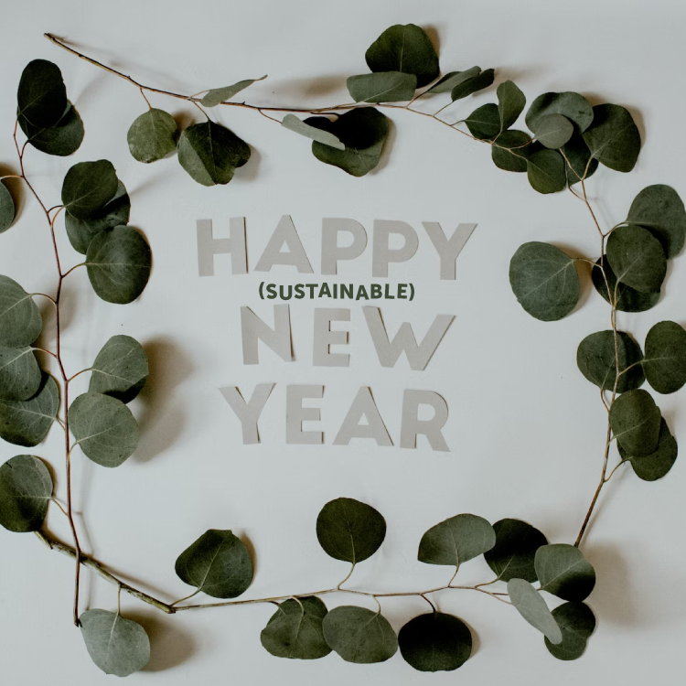 New Year, New Sustainability Resolutions