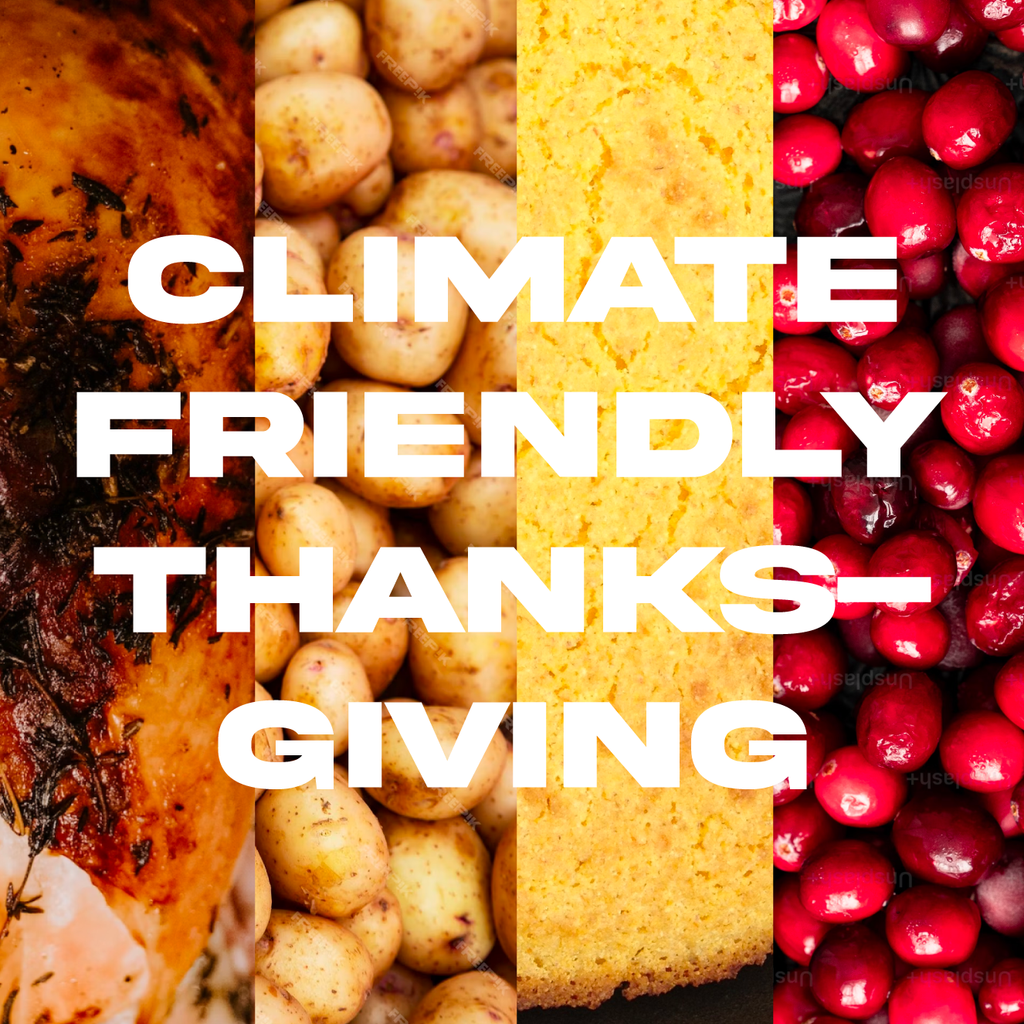 Thanksgiving Dinner is...Actually Pretty Sustainable