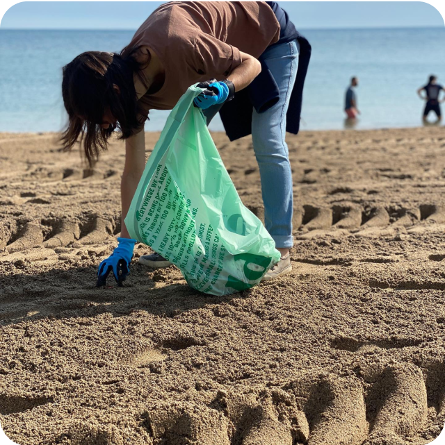 person doing a plastic beach cleanup